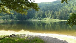 lake-123705_1920